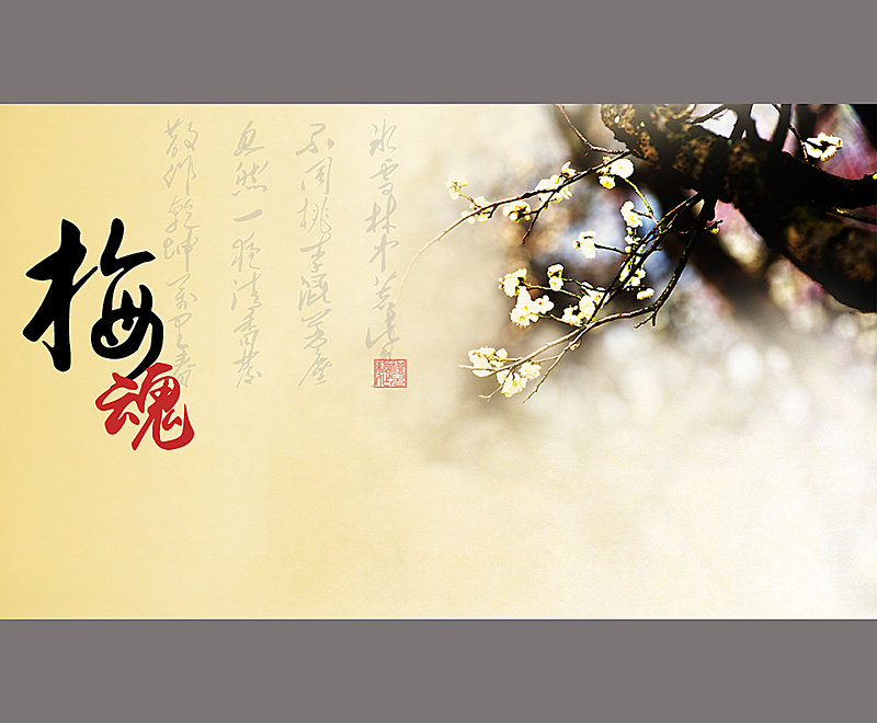 邓海一《俏梅花外应预测学》上集知蛛玄机_八字命理_紫微斗数_梅花易数古籍解析_海量易学古籍资料_精品易学课程知蛛玄机