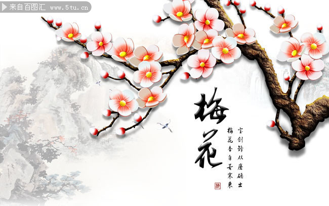邵康节.梅花易数知蛛玄机_八字命理_紫微斗数_梅花易数古籍解析_海量易学古籍资料_精品易学课程知蛛玄机