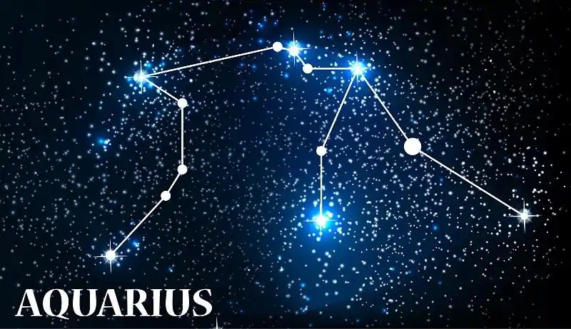《紫微斗数全书》白话文直译—卷38：谈星要论之天机星入命宫知蛛易学-八字-八字命理学教育-易学课程-在线占卜学习-八字算命教程-风水-紫微斗数-知蛛易学