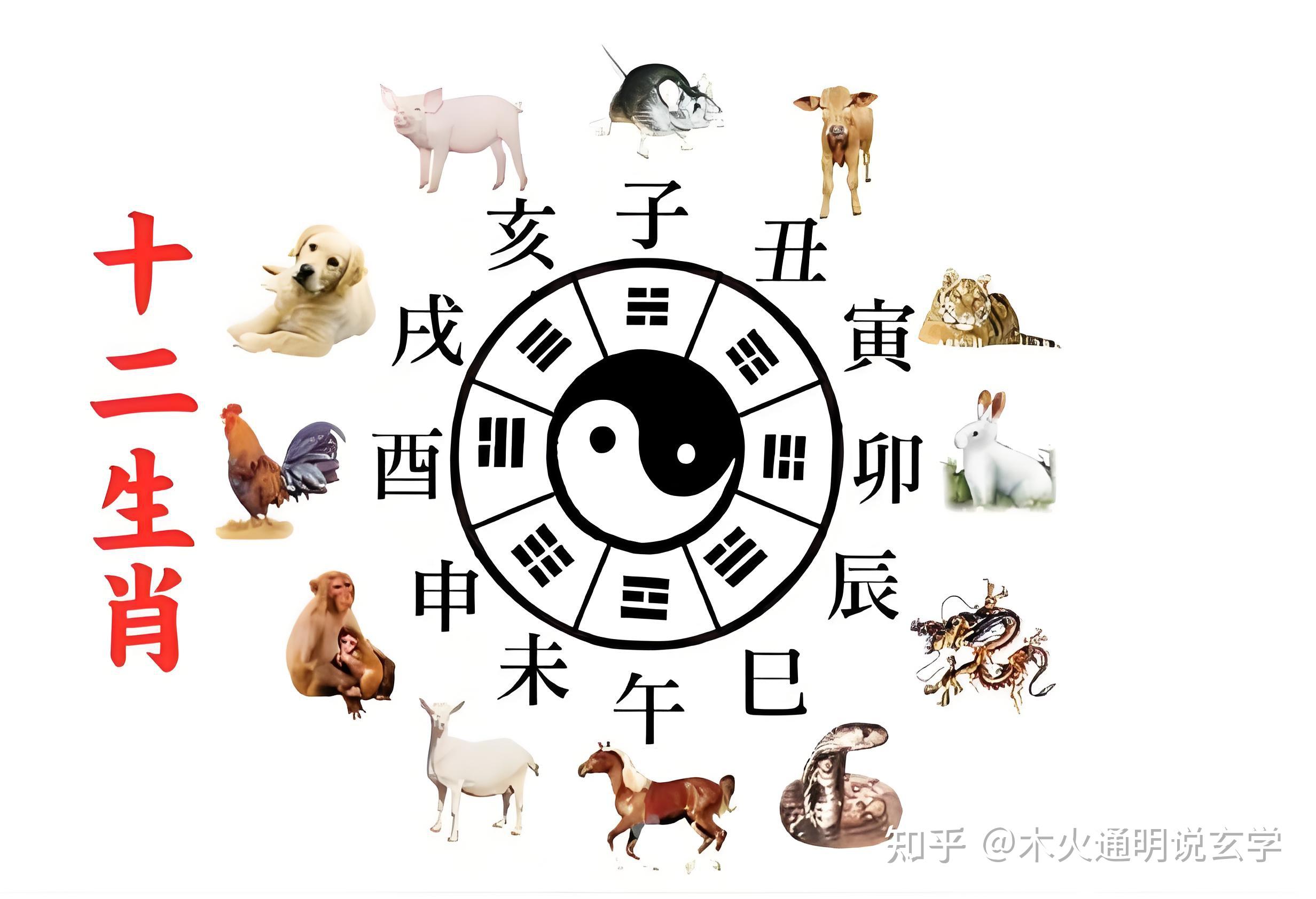 十二地支深度解析知蛛易学-八字-八字命理学教育-易学课程-在线占卜学习-八字算命教程-风水-紫微斗数-知蛛易学