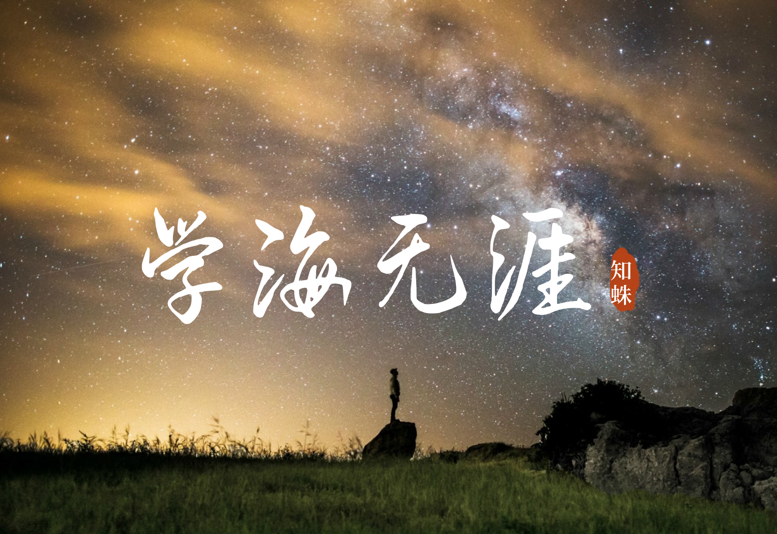 各类术数教学课程，四柱八字，紫微斗数，梅花易数