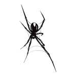 知蛛的头像-汇聚千年易学精髓，尽在知蛛玄机