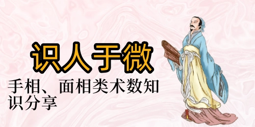 图片-汇聚千年易学精髓，尽在知蛛玄机