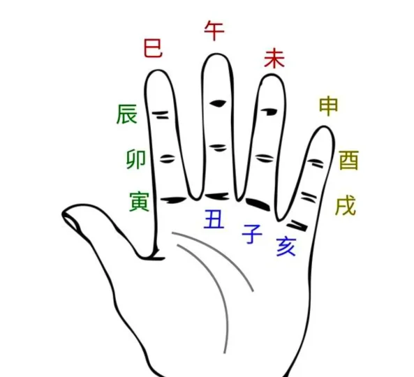 十二地支深度解析-汇聚千年易学精髓,尽在知蛛玄机