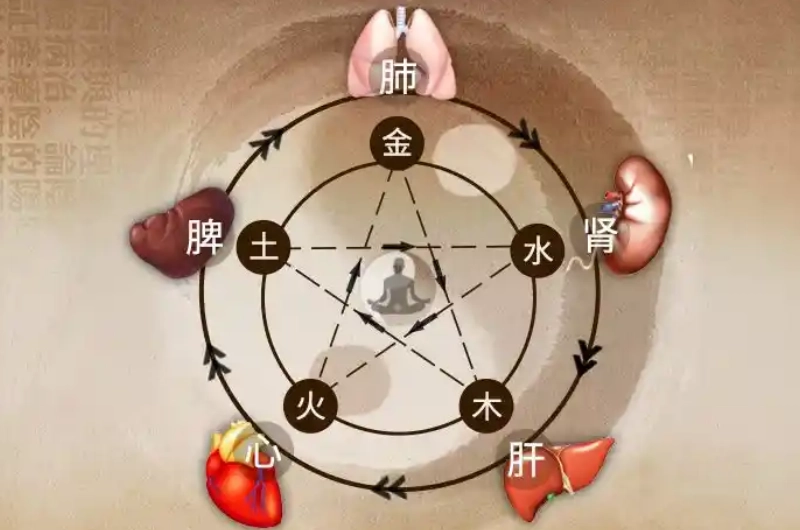 20251029144947748-五行疾病