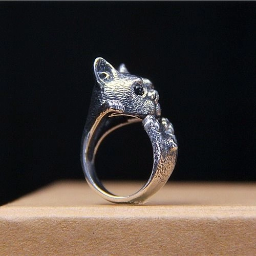 幻灯片-汇聚千年易学精髓,尽在知蛛玄机