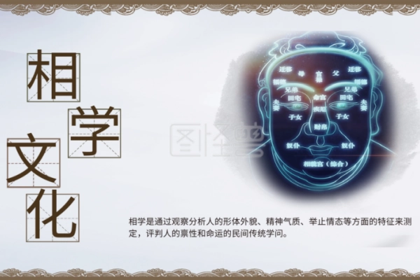 看相：精研69部位-汇聚千年易学精髓，尽在知蛛玄机