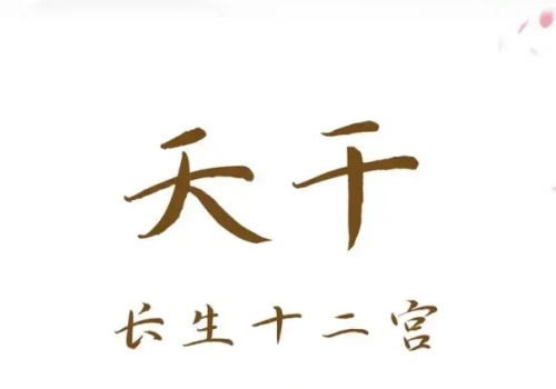 日干在十二长生的各种状态（人事物）-汇聚千年易学精髓，尽在知蛛玄机