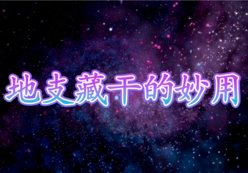 地支藏干理论与应用-汇聚千年易学精髓，尽在知蛛玄机