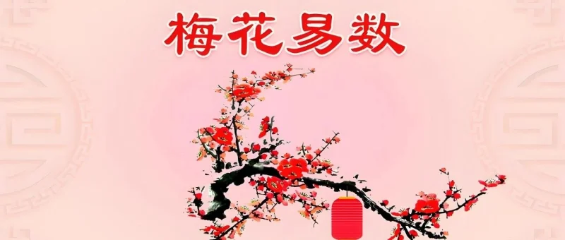 梅花易数核心知识点精要（入门基础框架）-汇聚千年易学精髓，尽在知蛛玄机