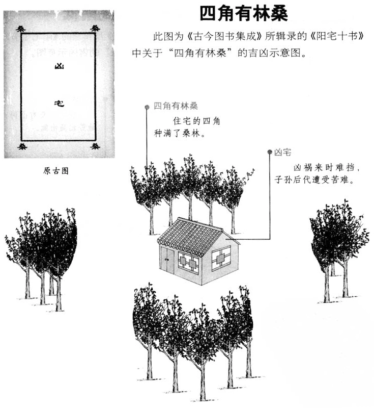 20251203174131565-微信图片_2025-12-03_170452_164
