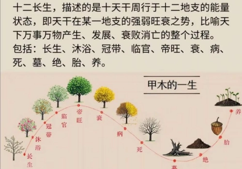 浅读五行十二运-汇聚千年易学精髓，尽在知蛛玄机